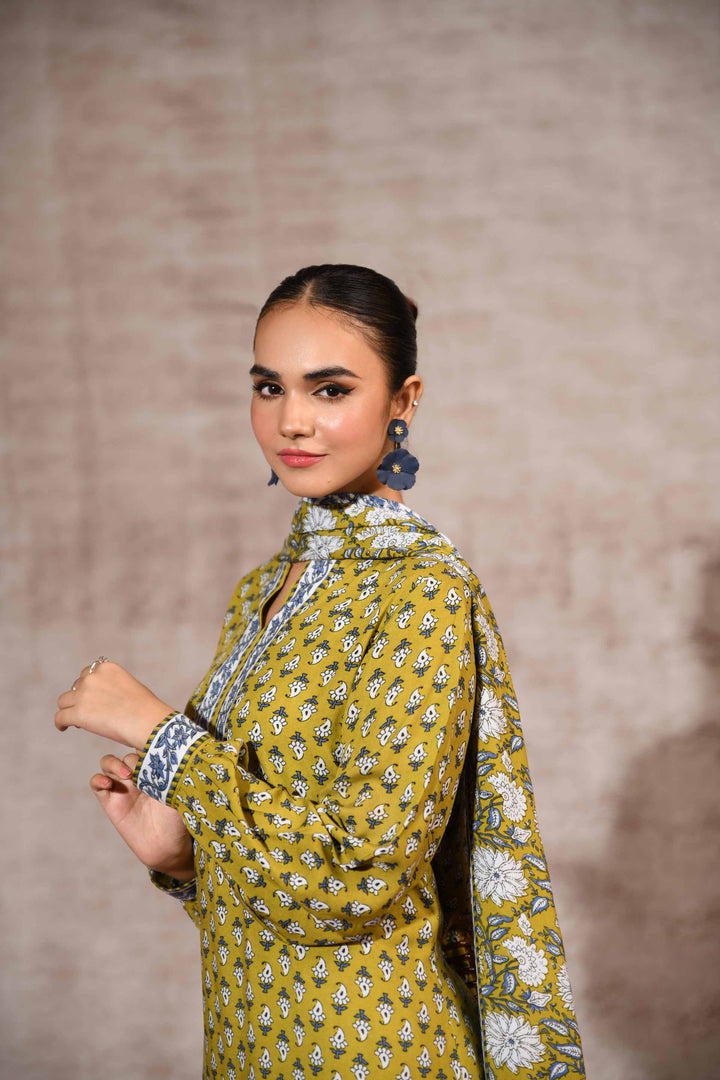 Nishat Linen- 3 Piece - Printed Suit - 42303177-R